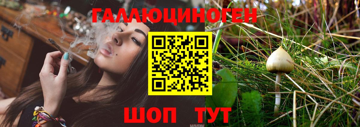 Изобильный  Псилоцибиновые грибы прущие грибы  Галлюциногенные грибы ЛСД  Вход с VPN 